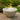 FIRE PIT, COVE 29'' FIREBOWL w/ DSI LP